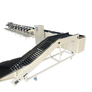 Mango sorting machine|Grading equipment for fruits and vegetables