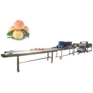 Peach cleaning machine ,Fruit Washers