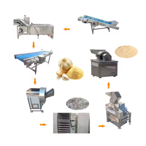 garlic powder processing line