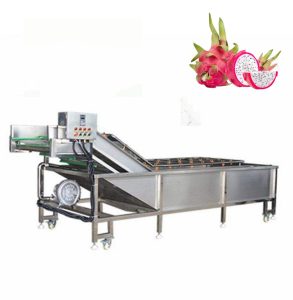 dragon fruits washing machine