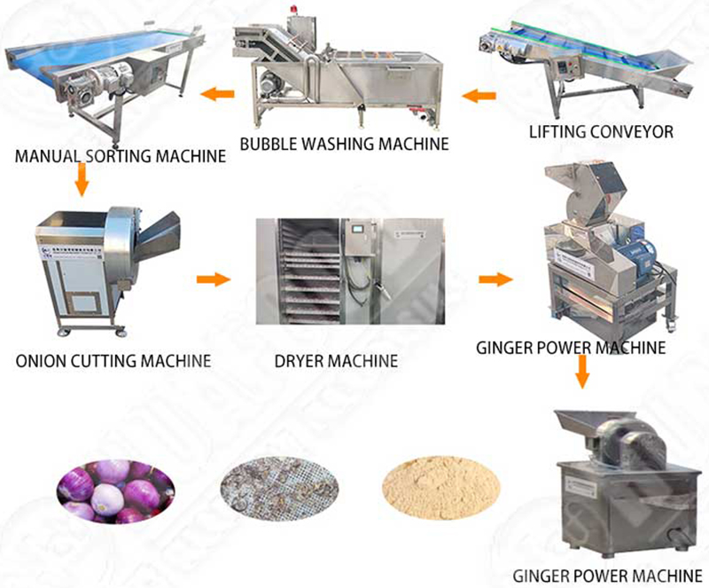 onion powder making production process