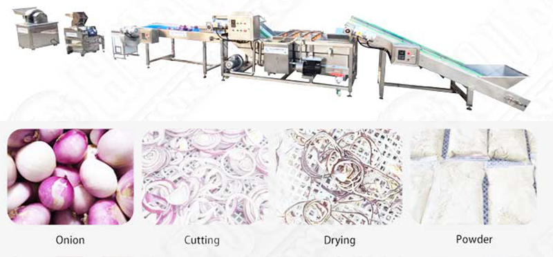 onion powder production line