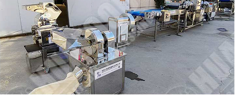 onion powder production line details