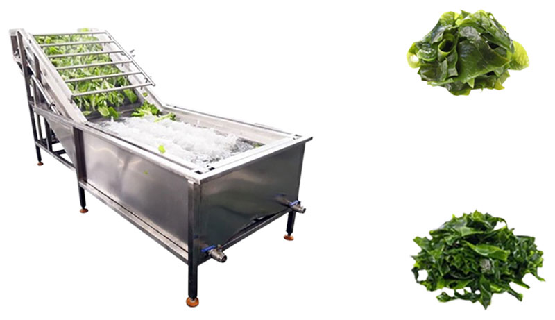 seaweed washing machine