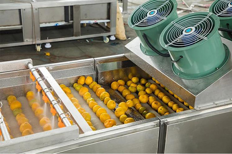 citrus brush washing machine