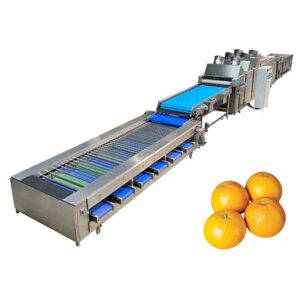 citrus washing drying grading line