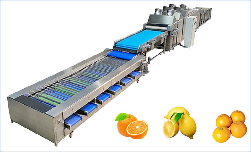 citrus washing drying grading line