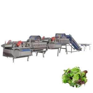 salad processing line