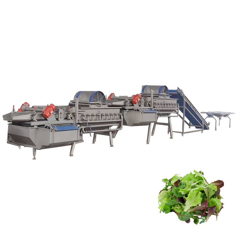 Salad Leafy Vegetable Vortex Washing Processing Line