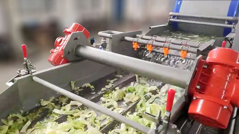 salad processing line working feedback