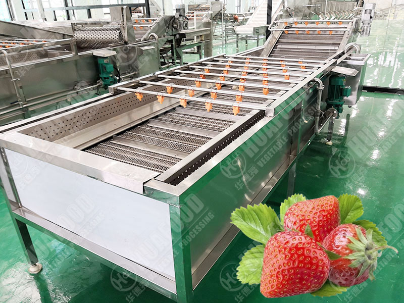 strawberry cleaning machine