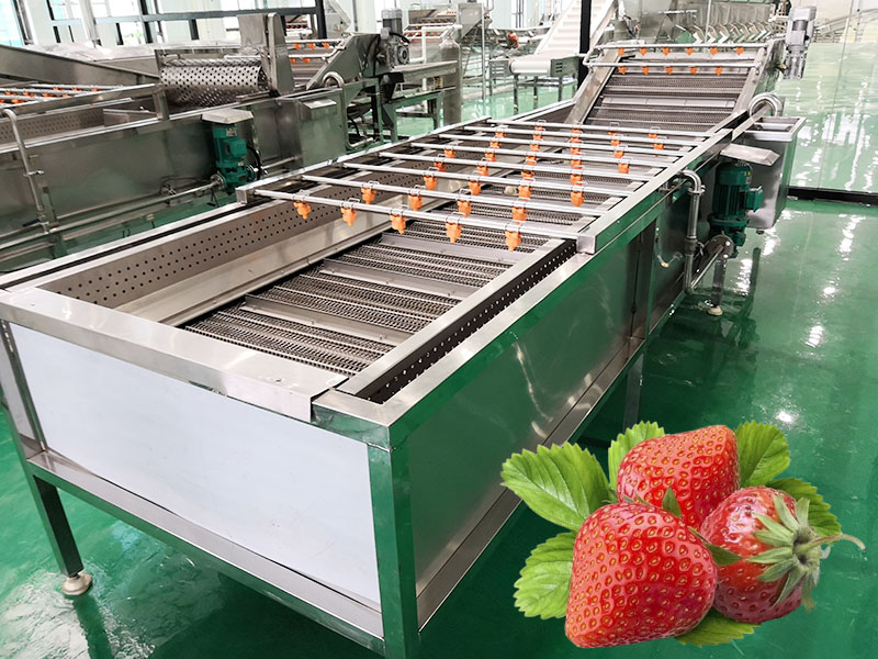 strawberry cleaning machine in factory