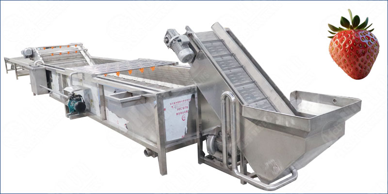 strawberry washing machine
