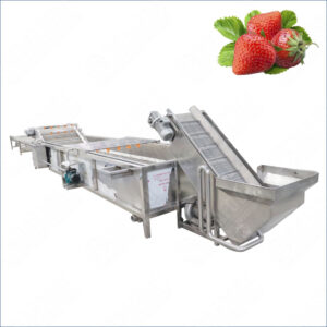 strawberry washing machine