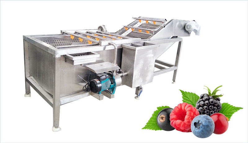 berry fruits washing machine