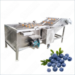 blueberry fruits washing machine