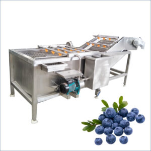 blueberry fruits washing machine