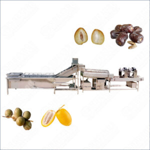 dates fruits washing drying machine