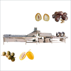 dates fruits washing drying line