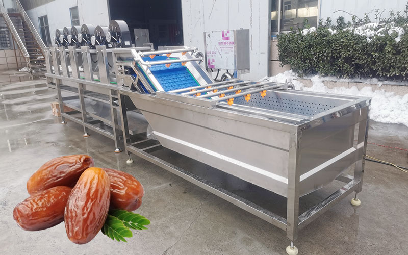 dates fruits washing machine details in our factory