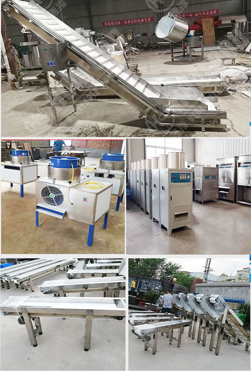 garlic peeling processing line machine details