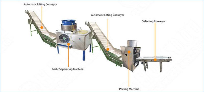 garlic peeling processing line