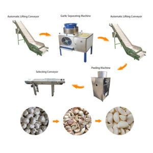 garlic peeling production line