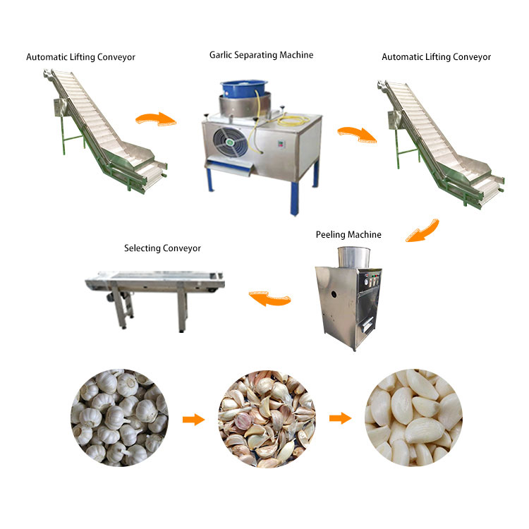 Auto Garlic Peeling Production Line For Garlic Bulb Separate And Clean