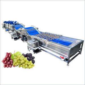 grape fruit washing and drying machine