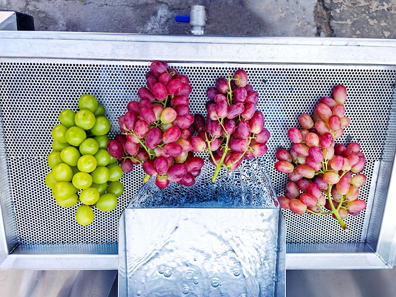 grape fruit washing details