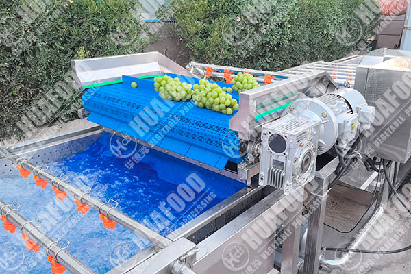 grape fruit washing machine