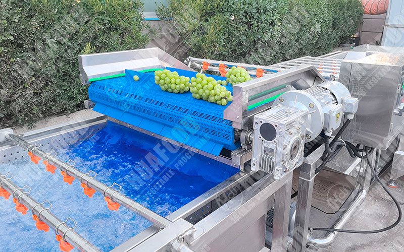 grape fruit washing machine details in factory