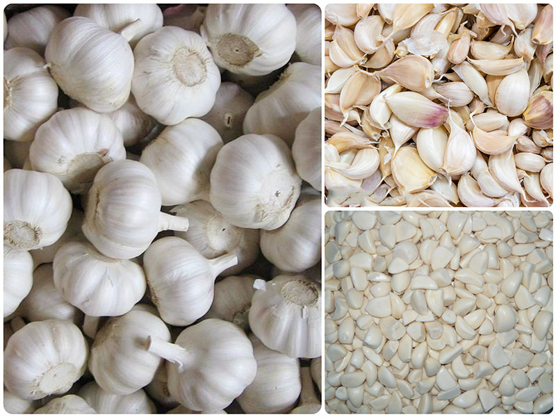 peeled garlic effects