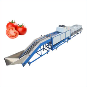tomato washing and sorting machine