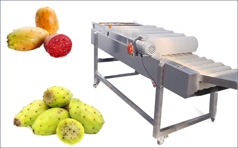 Prickly Pears Peeling And Washing Macine