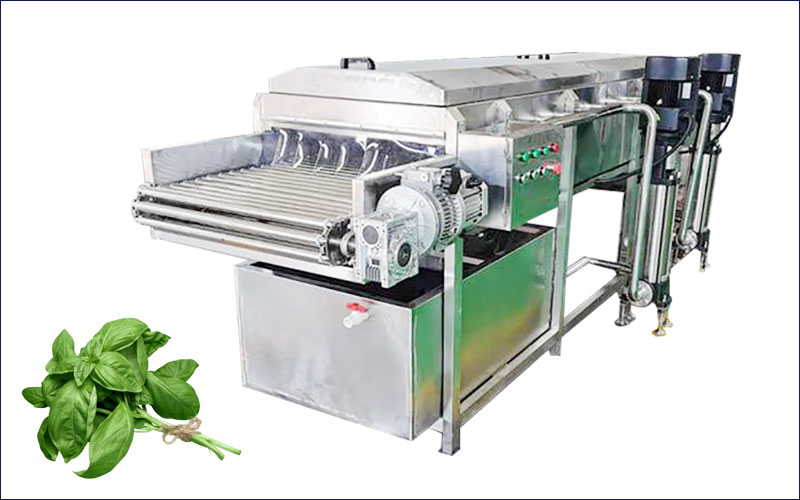 basil washing machine