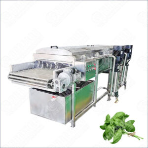 basil washing machine