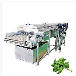 basil washing machine