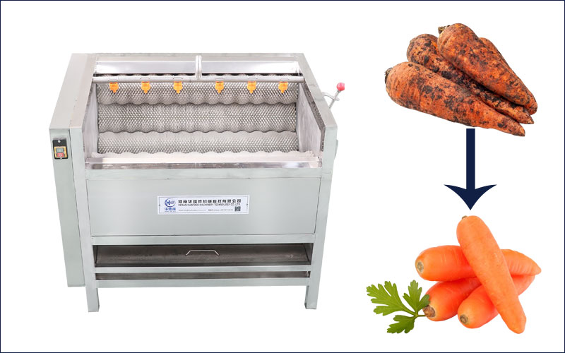 carrot brush washing machine
