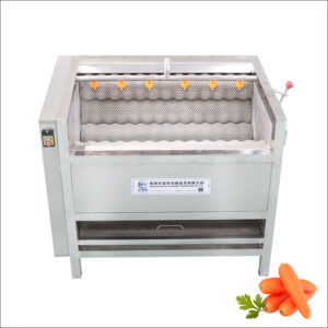 Carrot brush washing machine