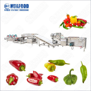 chilli washing and drying machine