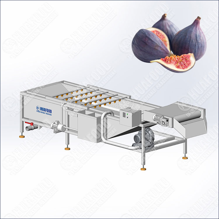 Industrial Fig Washing Machine with Ozone Sterilizer
