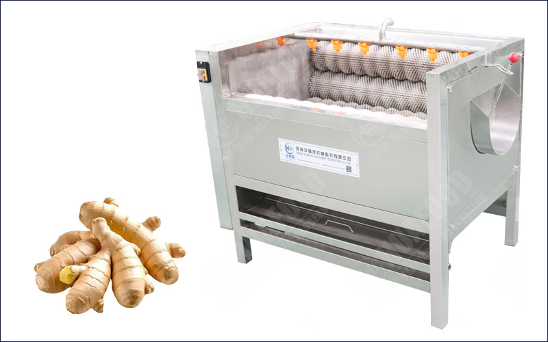ginger washing and peeling machine