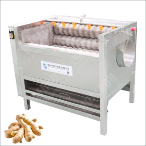 ginger washing and peeling machine