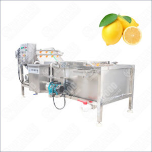 lemon washing machine