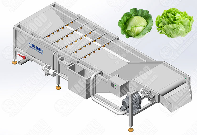 lettuce washing machine