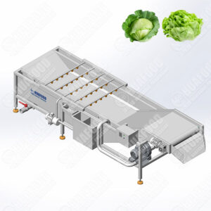 lettuce washing machine