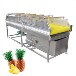 pineapple washing machine