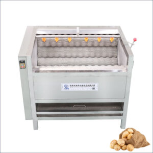 potato washing and peeling machine