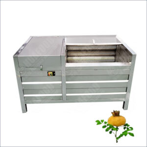rosa roxburghii peeling and washing machine